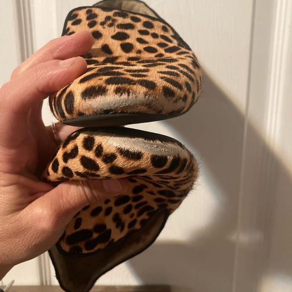 Birdies The Starling
Cheetah Calf Hair - Picture 8 of 8